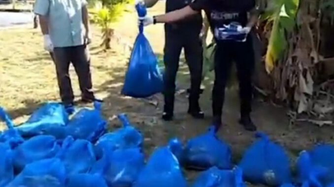 154 Kobra Yılanı Yakaladılar