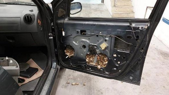 Aracın Kapı Döşemesinden 5 Bin 450 Su Kaplumbağası Çıktı!