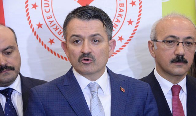 Bakan Pekdemirli Kıbrıs İsale Hattında Kopukluk Gözlemlendi