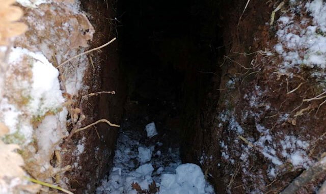 Bitlis’te terör örgütüne ait 7 sığınak ve 2 depo tespit edildi