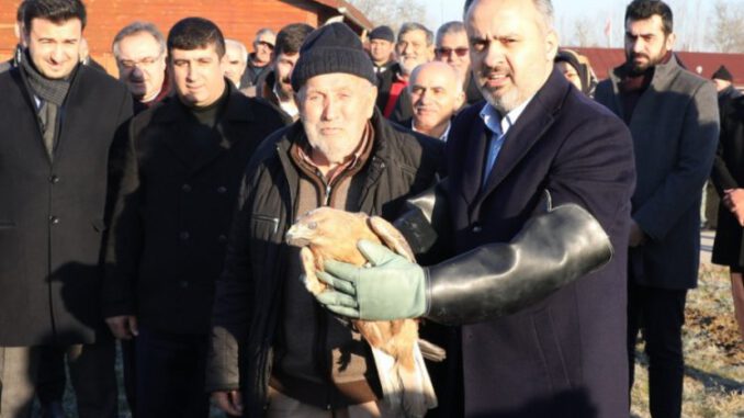 Bursa'da Yaralı Şahin 4 Aylık Tedavi Sonrası Özgür Bırakıldı