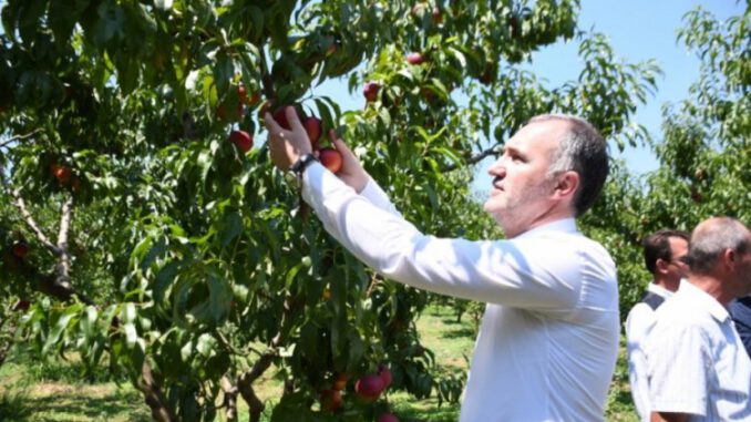 İnegöl Tarımda Vites Yükseltti