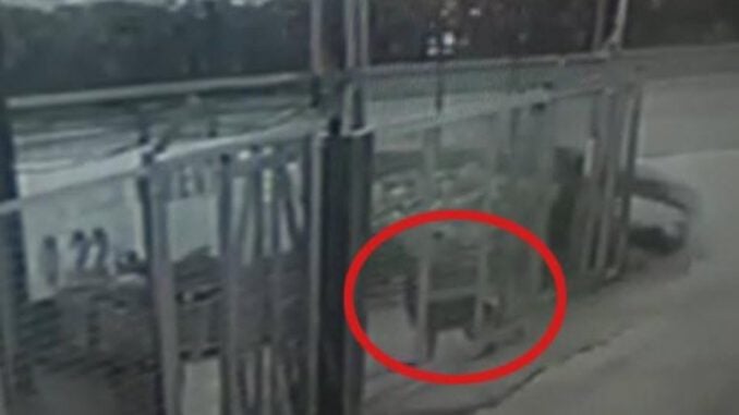 Rojin'in Ölümüne Neden Olan Köpek Sahipli Çıktı