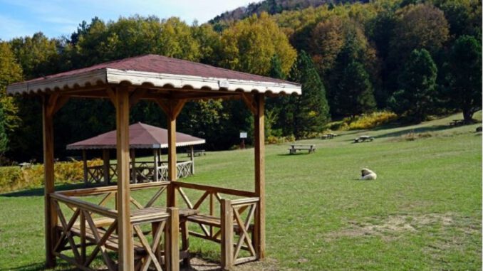 barınak uludağ (1)